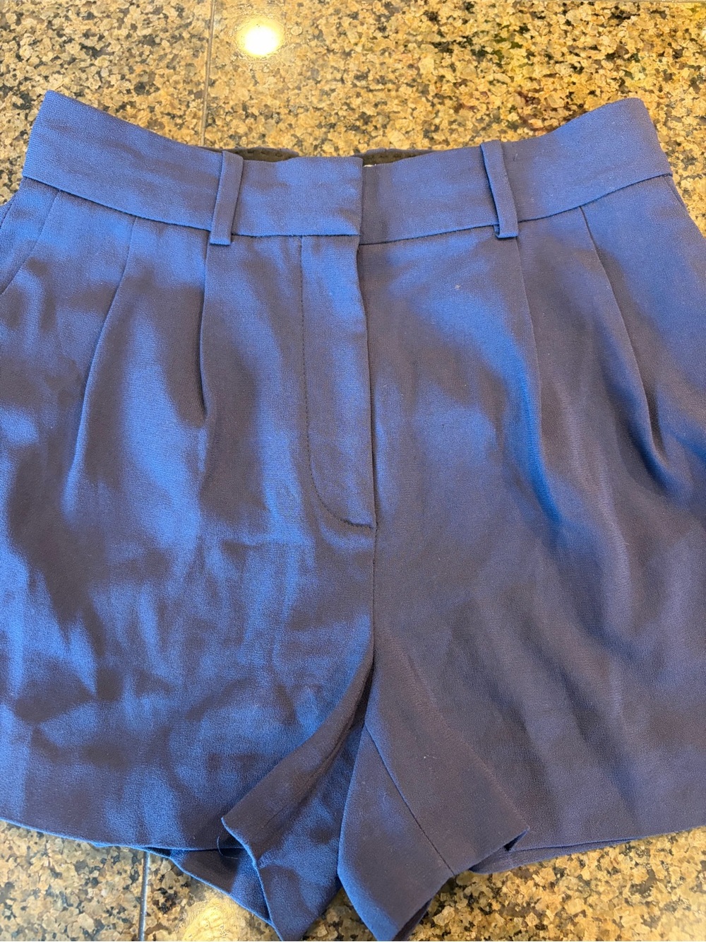 Aritzia Babaton Tailored High-Waist Navy Pleat-Front Shorts - Picture 2 of 8